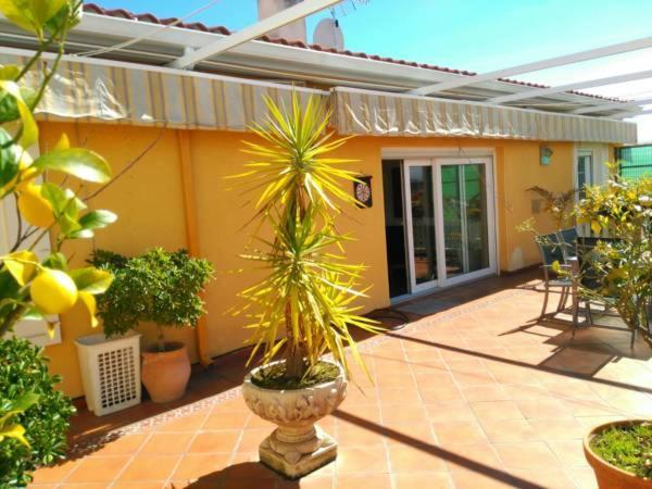 Apartamentos Merida Center Kültér fotó